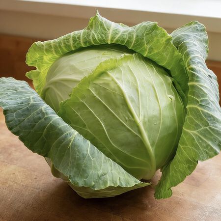 Copenhagen Market, Cabbage Seeds - Packet image number null